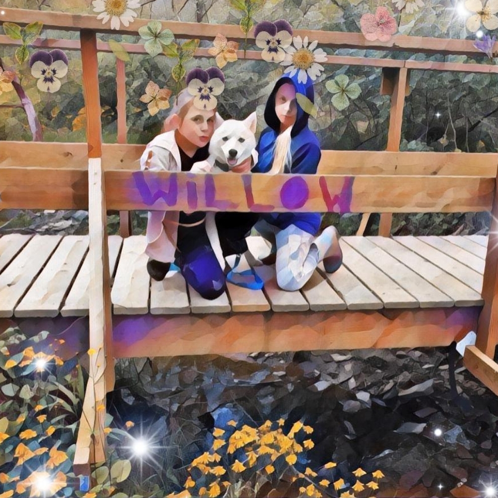 Meet Gigi at Young Willow Avenue